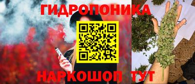 амф Тара