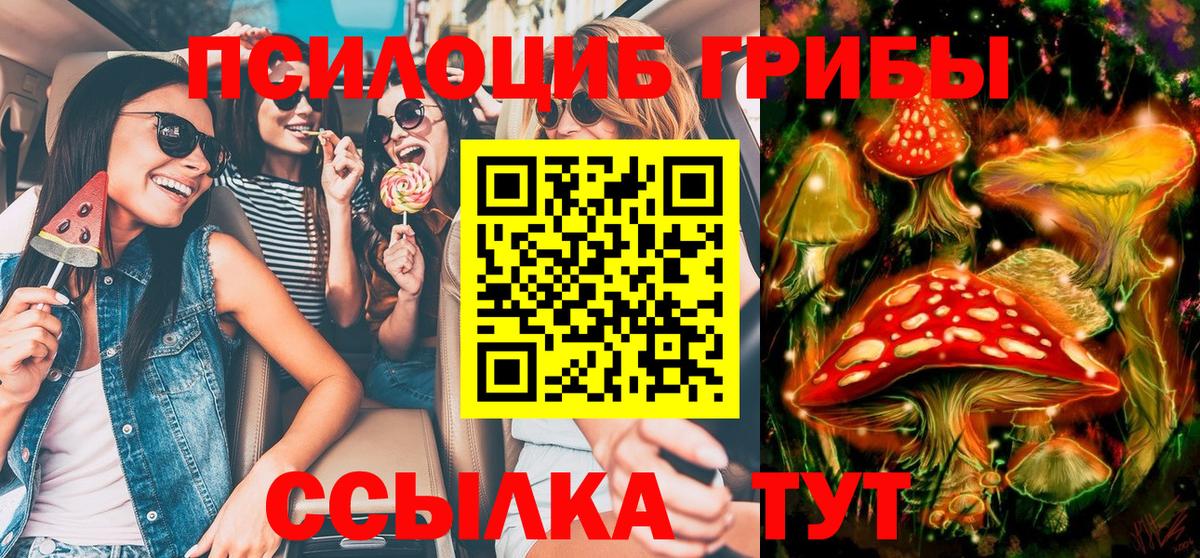 даркнет сайт  Вход с VPN  Менделеевск  Псилоцибиновые грибы прущие грибы 