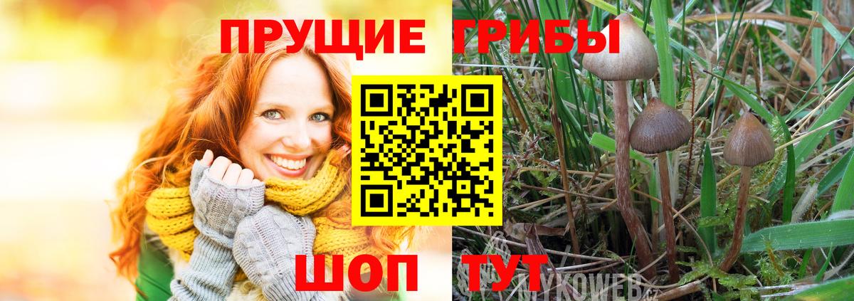 Галлюциногенные грибы Cubensis Менделеевск